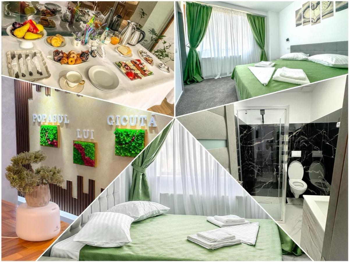 Popasul Lui Gicuta Bed & Breakfast Curtea De Arges Bagian luar foto